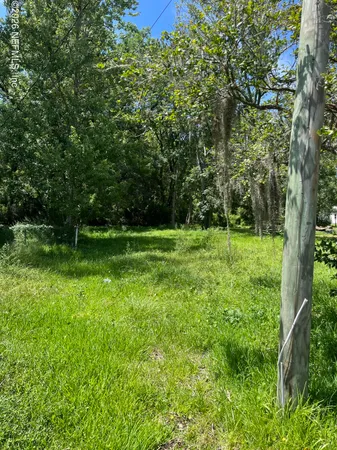 a view of a grassy field with trees in the background
