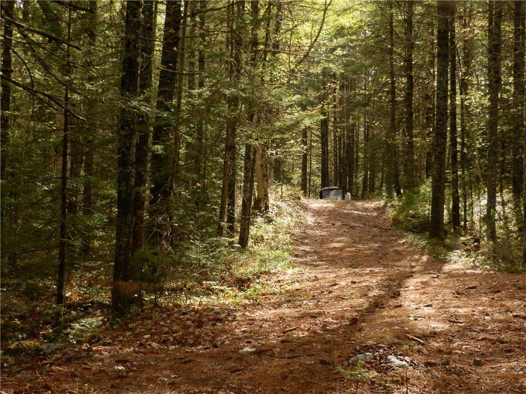 1426 Deer Haven Road Wesley, ME 04686 - Photo 8 of 24 Along unnaned spur road
