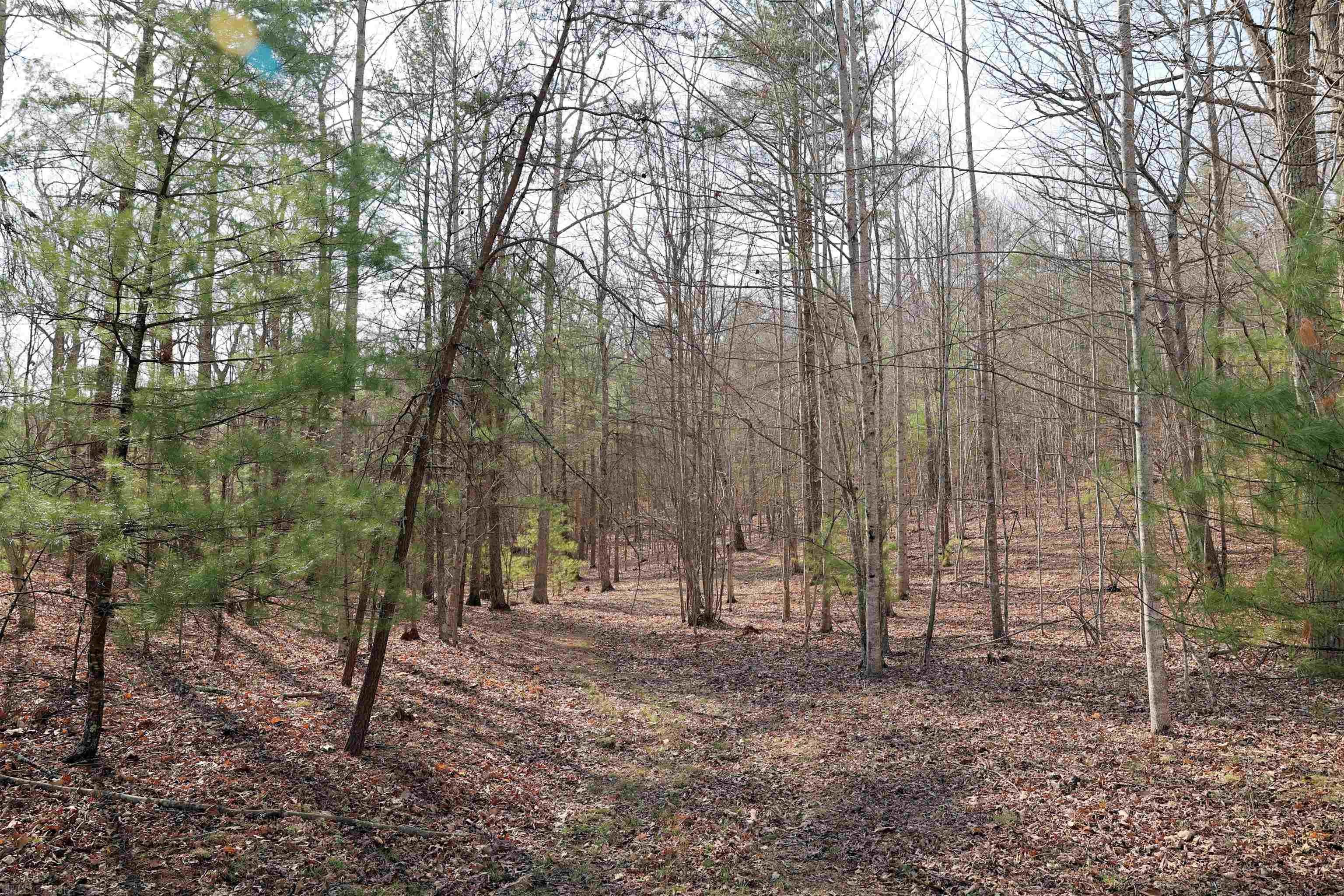 4237 Laburnum Road Pilot, VA 24138 - Photo 27 of 45 Gallery Image 27