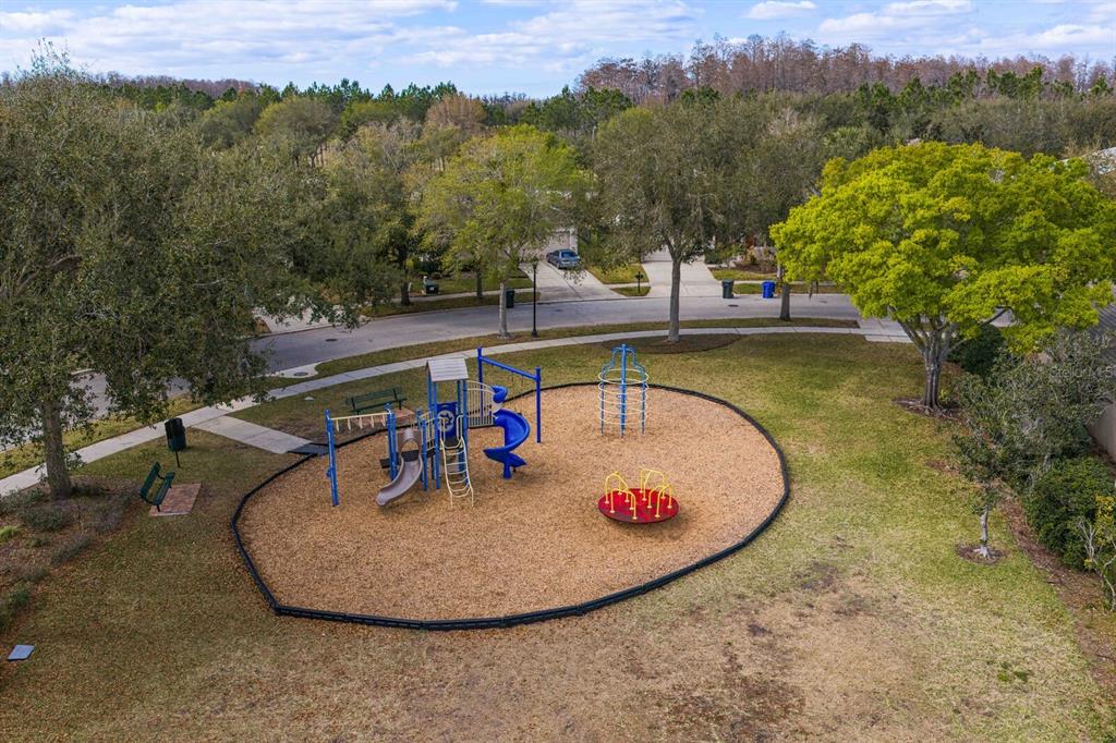 2839 Maple Brook Loop Lutz, FL 33558 - Photo 44 of 61
