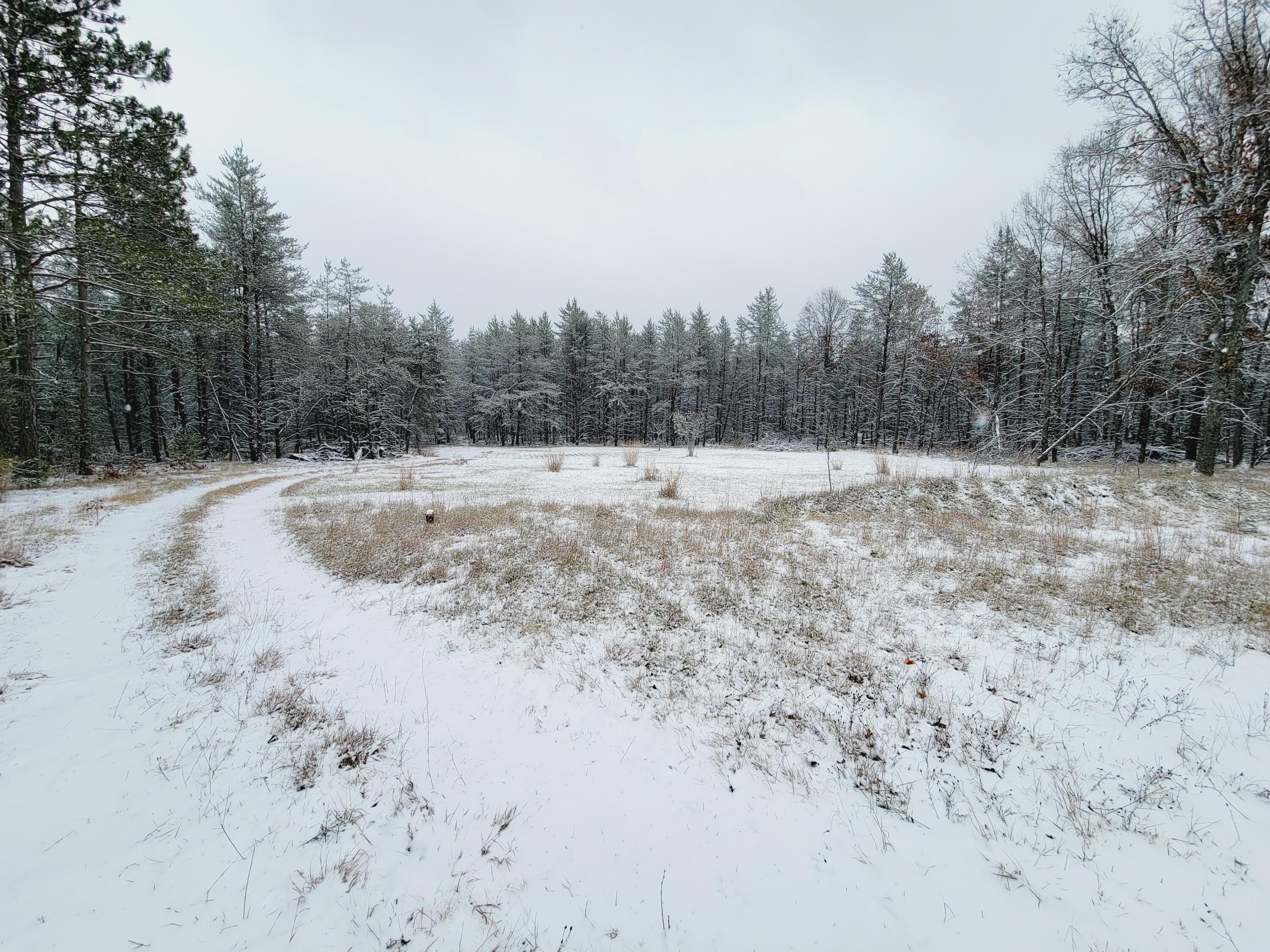 2258 South James Road Baldwin, MI 49304 - Photo 7 of 23 20231126_114959