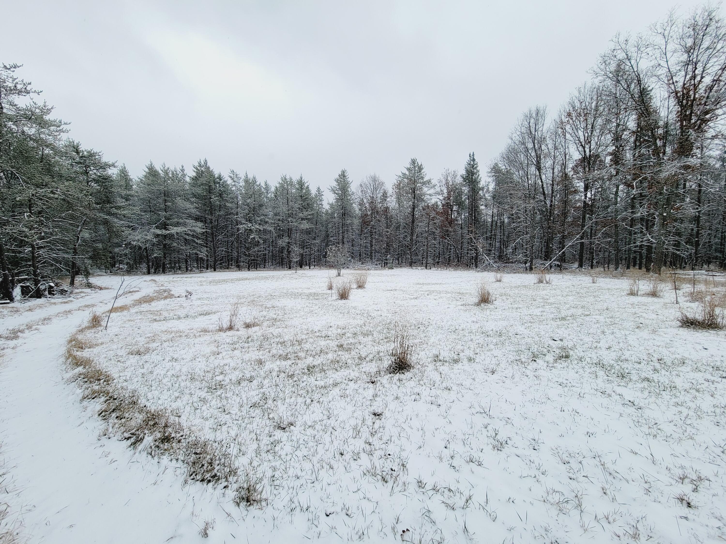 2258 South James Road Baldwin, MI 49304 - Photo 8 of 23 20231126_115037