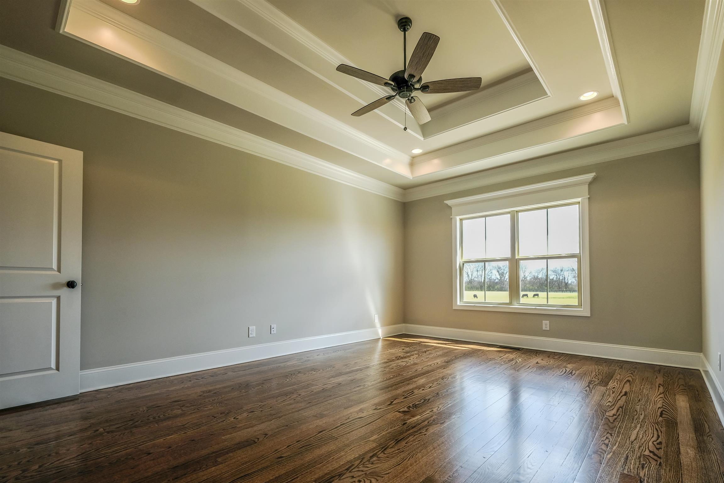 2029 Autumn Ridge Way Spring Hill, TN 37174 - Photo 12 of 30 Romantic master with hardwoods and trey ceiling.