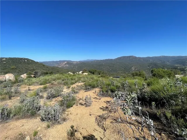 a view of a forest with mountains in the background