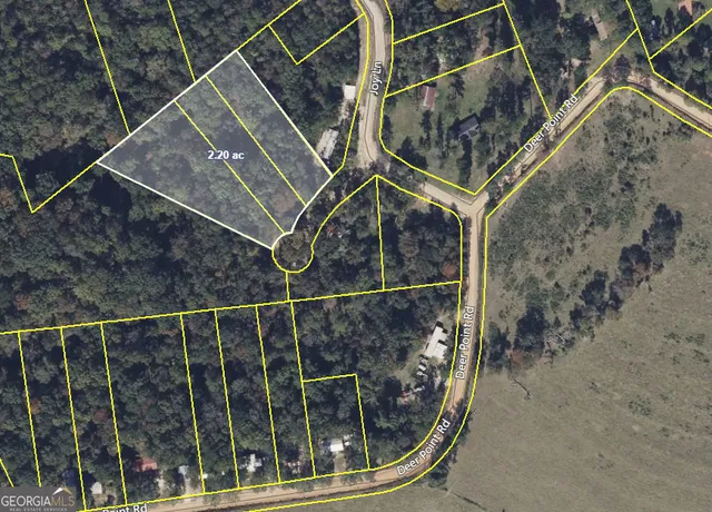 $10,500 | 2-ac Fawn Lane, Georgetown, GA 39854