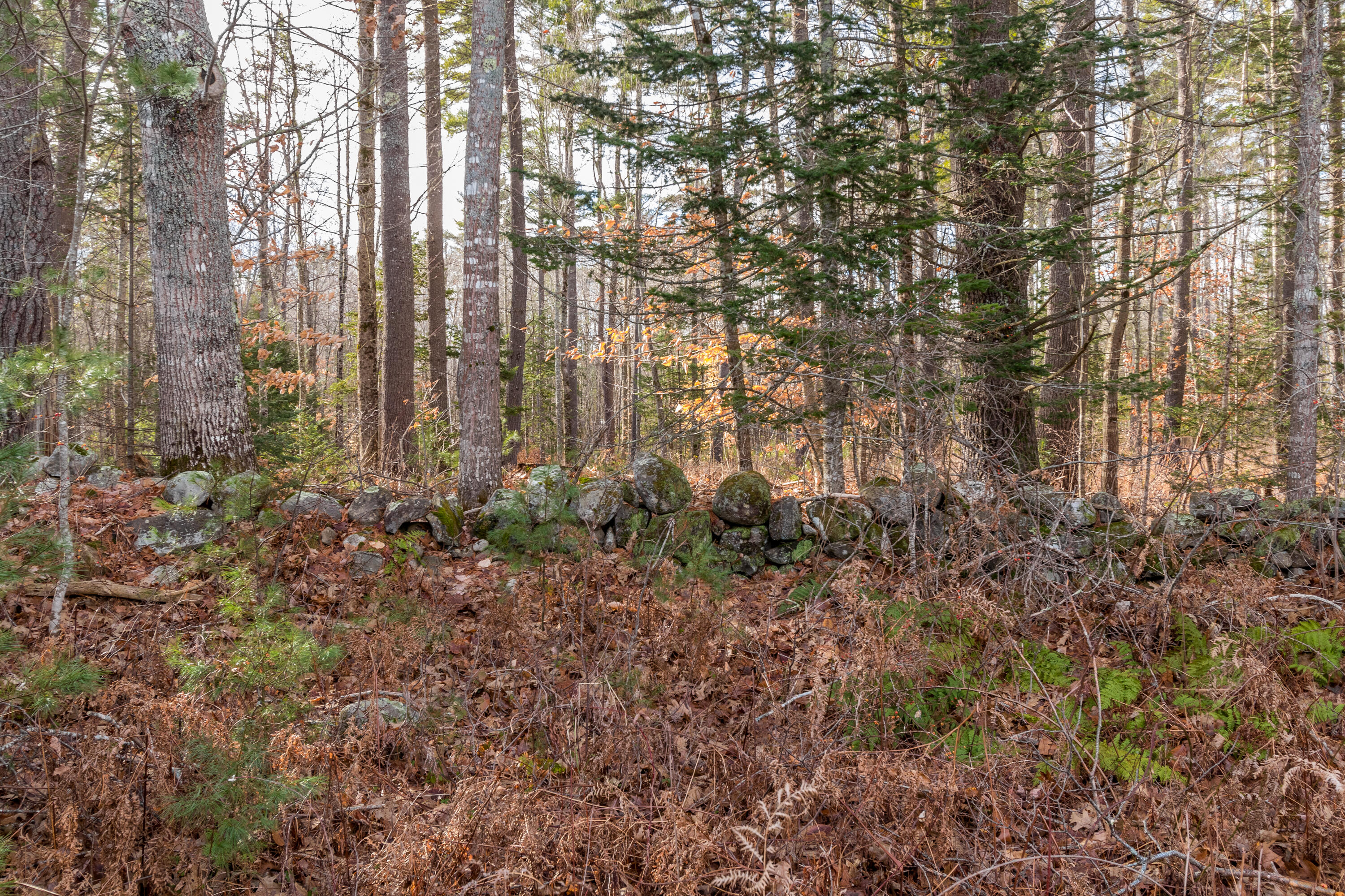 560 Cape Road Standish, ME 04084 - Photo 51 of 111 20221201TR-71091