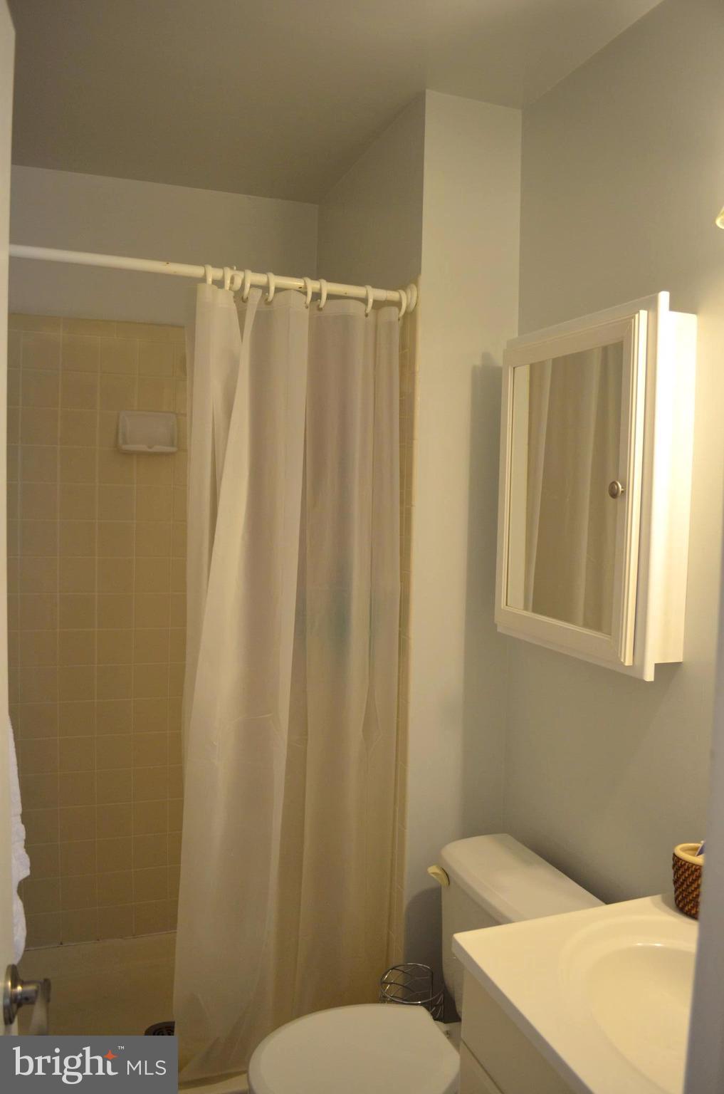 9205 Sprucewood Road Burke, VA 22015 - Photo 19 of 30 Bath (Master)