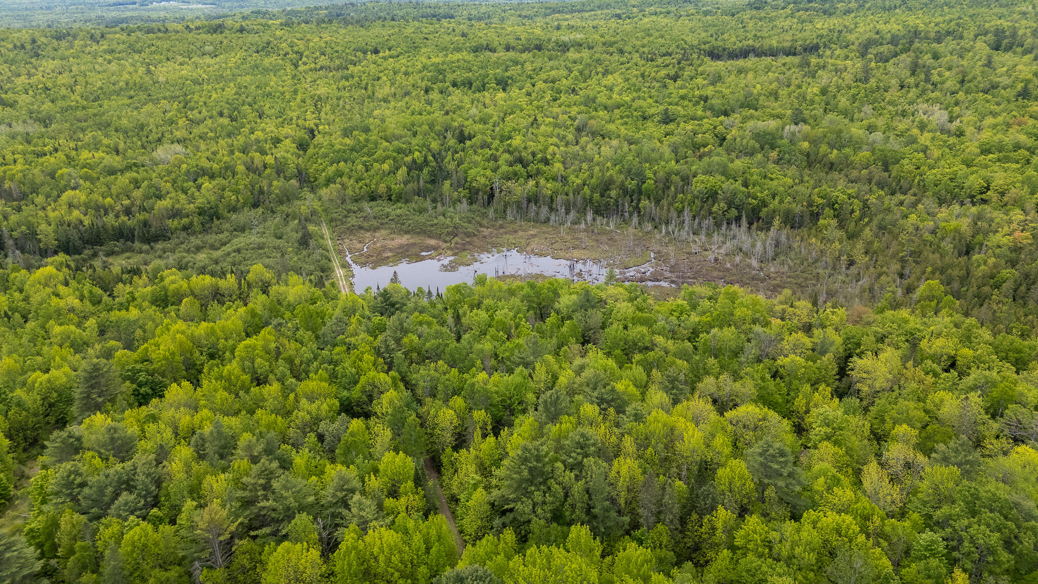 M5-l28 Cemetery Road Guilford, ME 04443 - Photo 53 of 58 DJI_20260602112053_0481_D