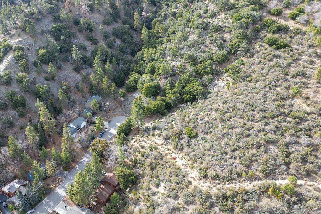 0 Timberline Drive Wrightwood, CA 92397 - Photo 11 of 52 a view of a forest with a tree