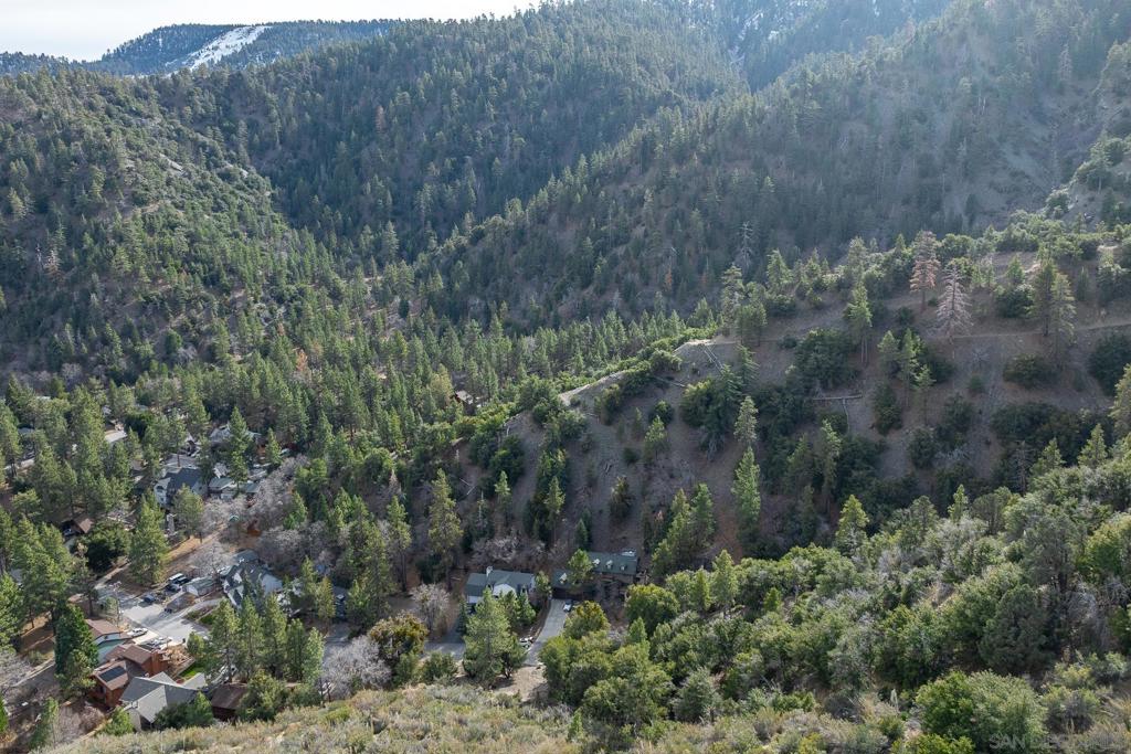 0 Timberline Drive Wrightwood, CA 92397 - Photo 12 of 52 a view of a forest with a street
