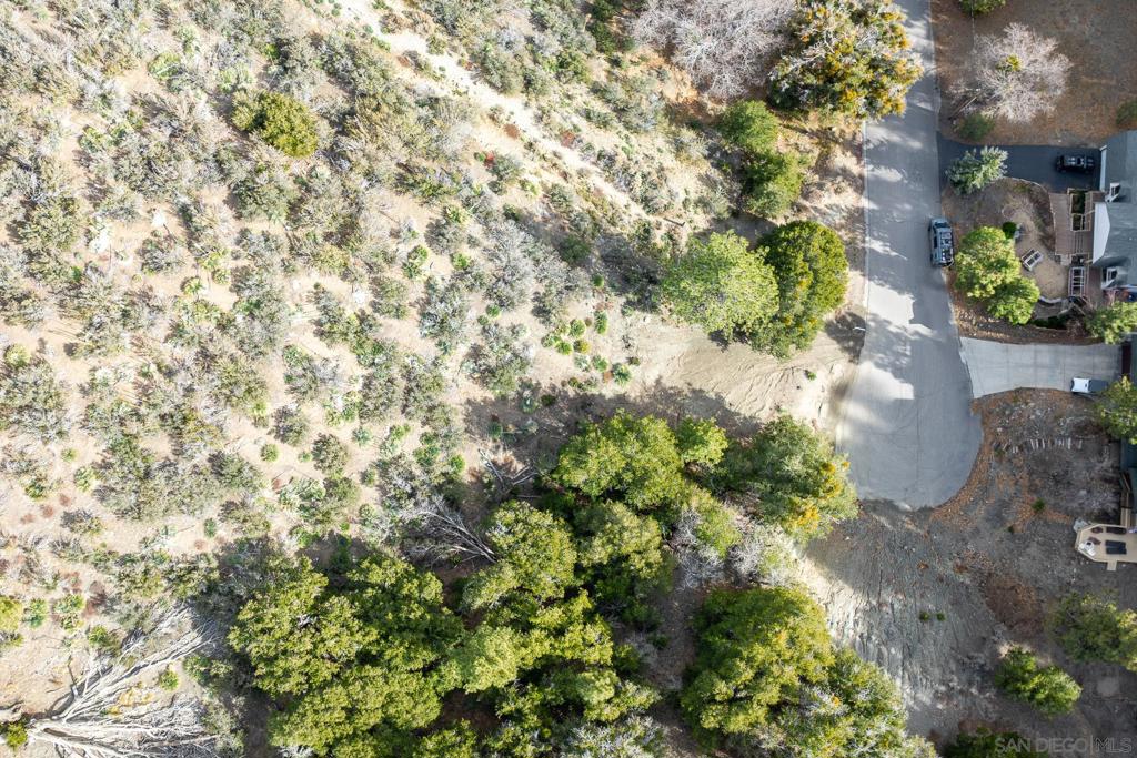 0 Timberline Drive Wrightwood, CA 92397 - Photo 14 of 52 a view of a plants with flower garden