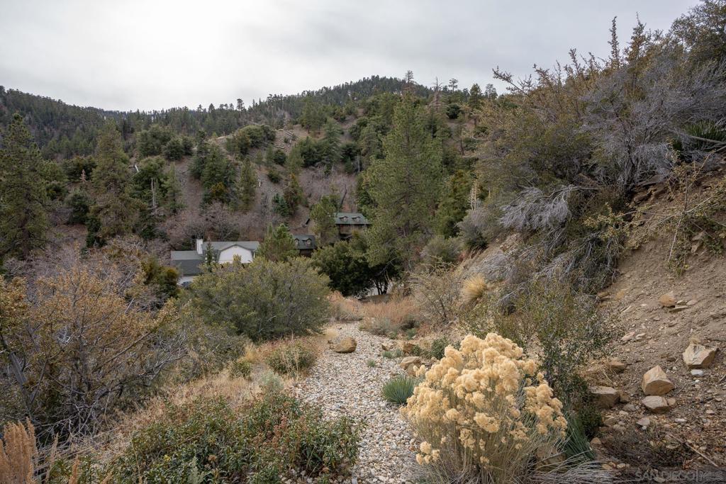0 Timberline Drive Wrightwood, CA 92397 - Photo 15 of 52 a view of a forest with mountains in the background