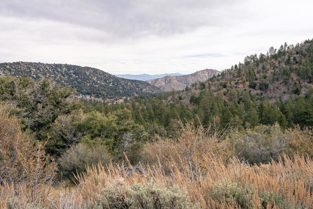 0 Timberline Drive Wrightwood, CA 92397 - Photo 16 of 52 a view of a dry yard with mountains in the background