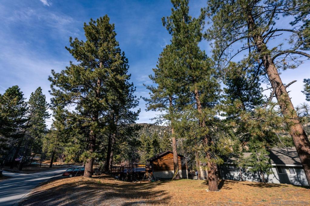 0 Timberline Drive Wrightwood, CA 92397 - Photo 20 of 52 a view of road with trees