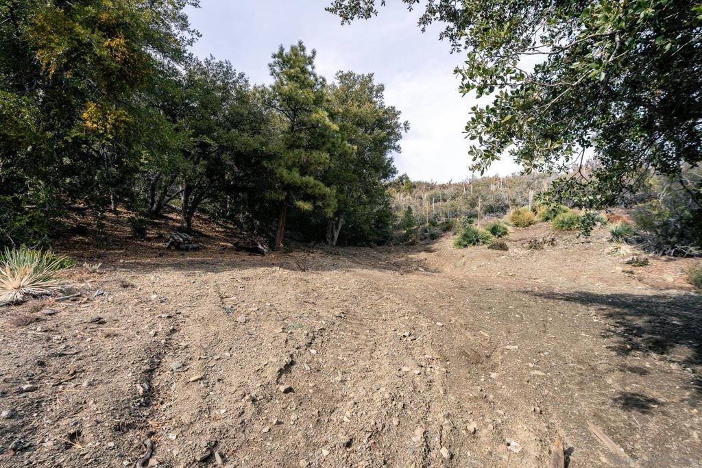 0 Timberline Drive Wrightwood, CA 92397 - Photo 2 of 52 a view of backyard with large trees