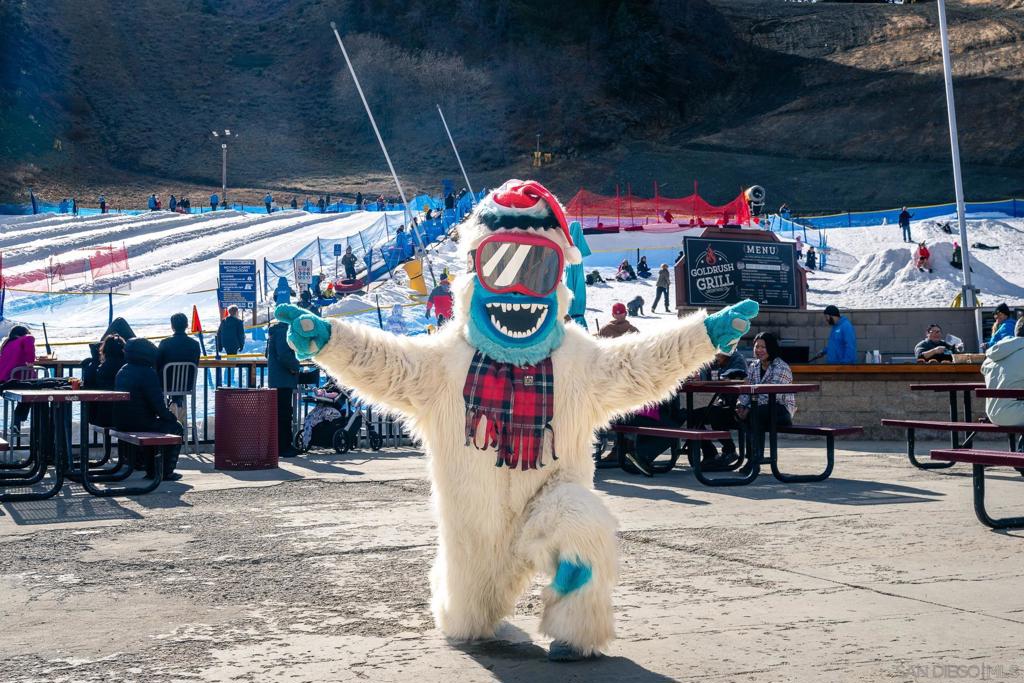 0 Timberline Drive Wrightwood, CA 92397 - Photo 22 of 52 a view of storage and utility room