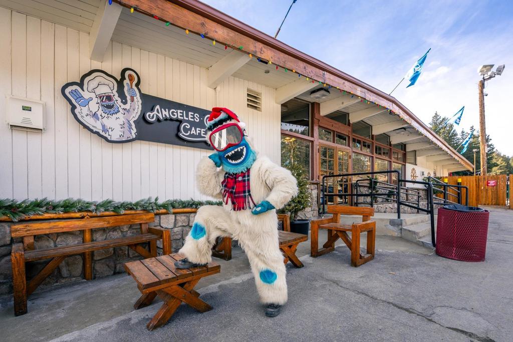 0 Timberline Drive Wrightwood, CA 92397 - Photo 24 of 52 an outdoor space with patio furniture and potted plants