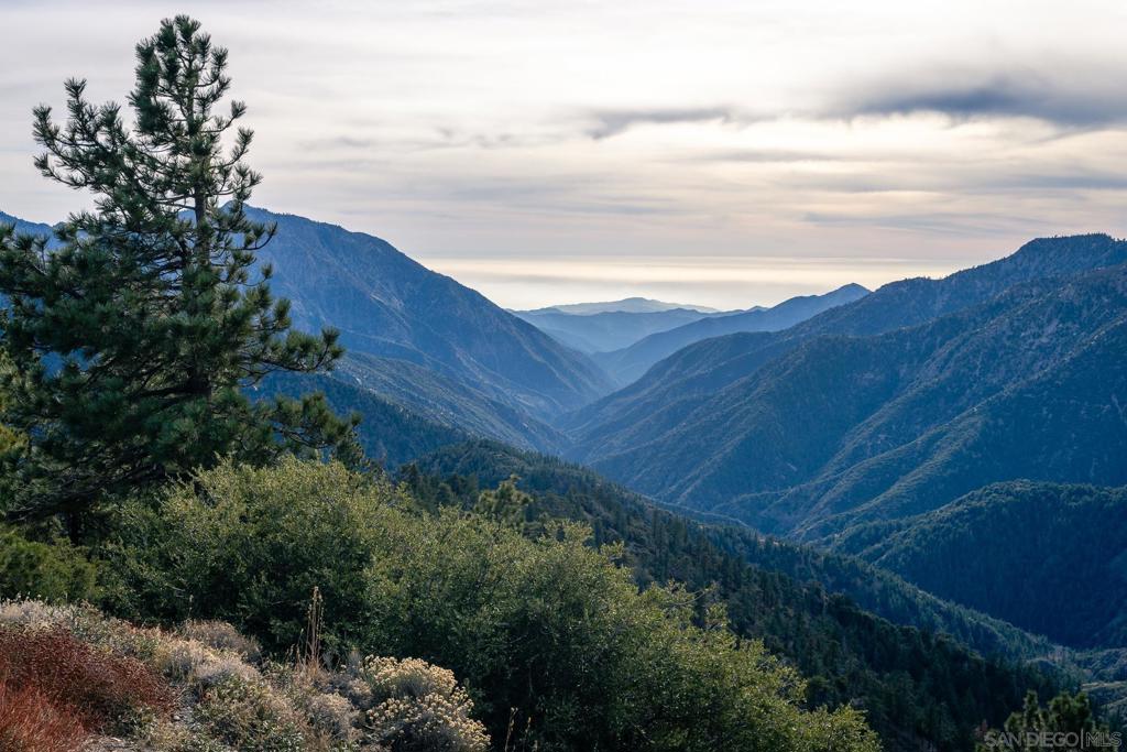 0 Timberline Drive Wrightwood, CA 92397 - Photo 31 of 52 a view of a houses with a yard