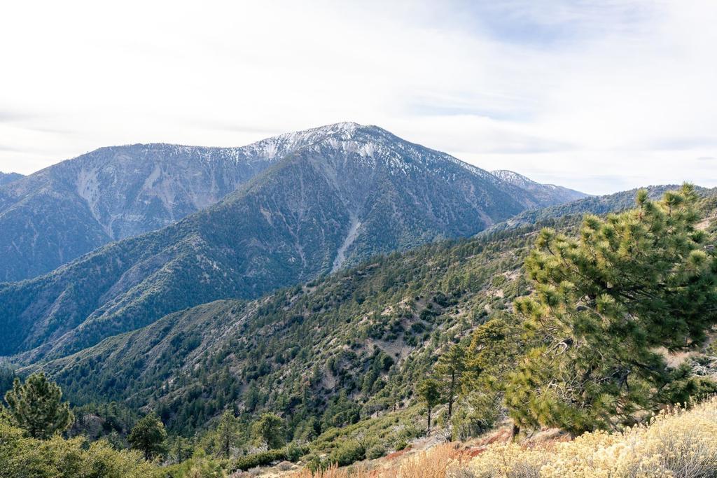 0 Timberline Drive Wrightwood, CA 92397 - Photo 33 of 52 a view of a dry yard with mountains in the background