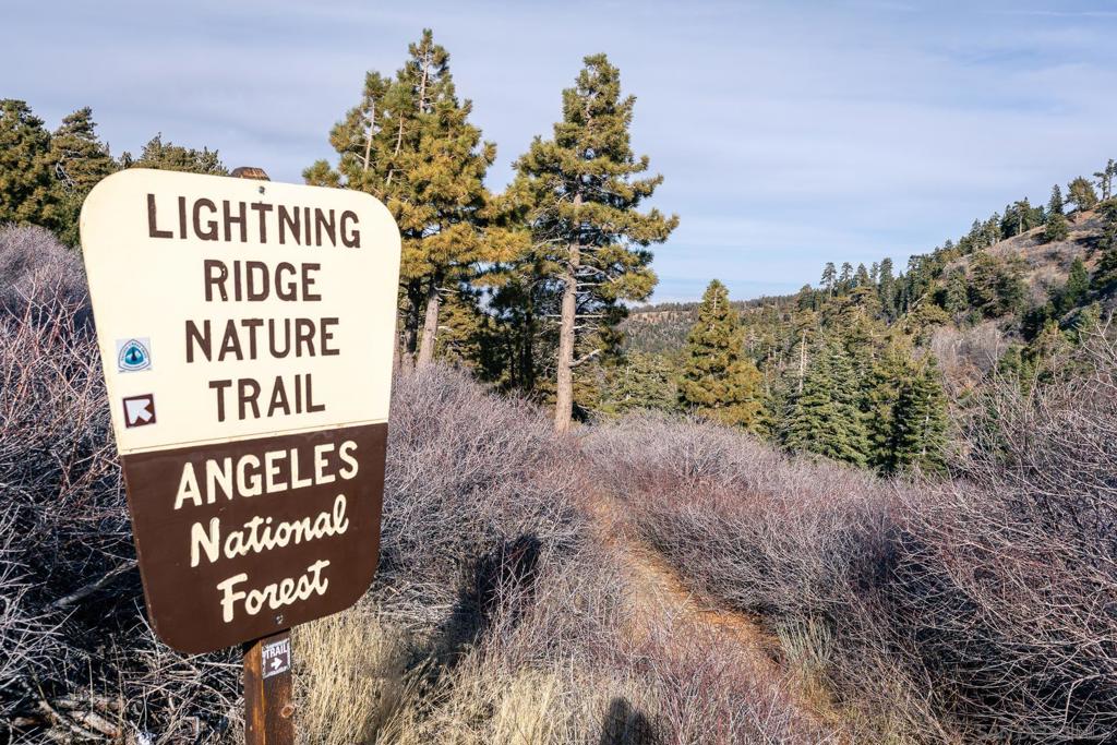 0 Timberline Drive Wrightwood, CA 92397 - Photo 36 of 52 a sign on the side of the road