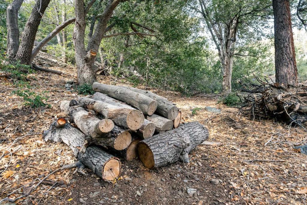 0 Timberline Drive Wrightwood, CA 92397 - Photo 4 of 52 a backyard of a house with lots of green space