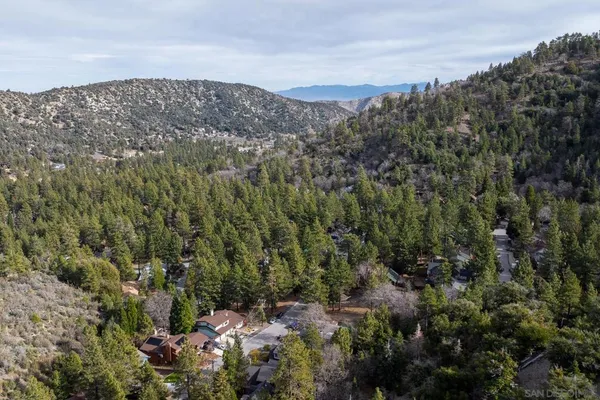 a view of a forest with a mountain in the background