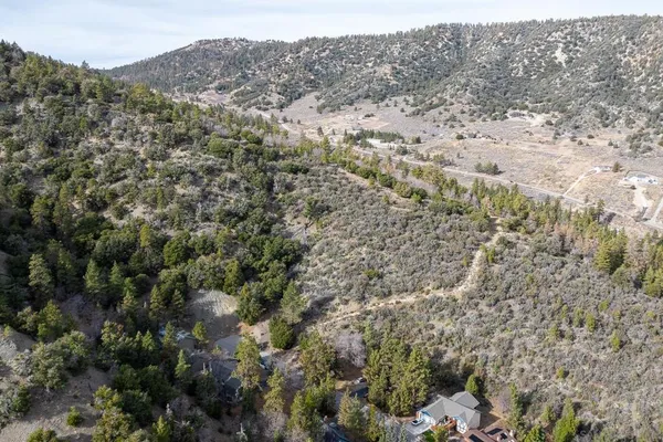 a view of a forest with a street
