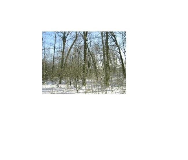 Pine Ridge Trail, Unit 12 Abrams, WI 54101 - Photo 12 of 12 Gallery Image 12