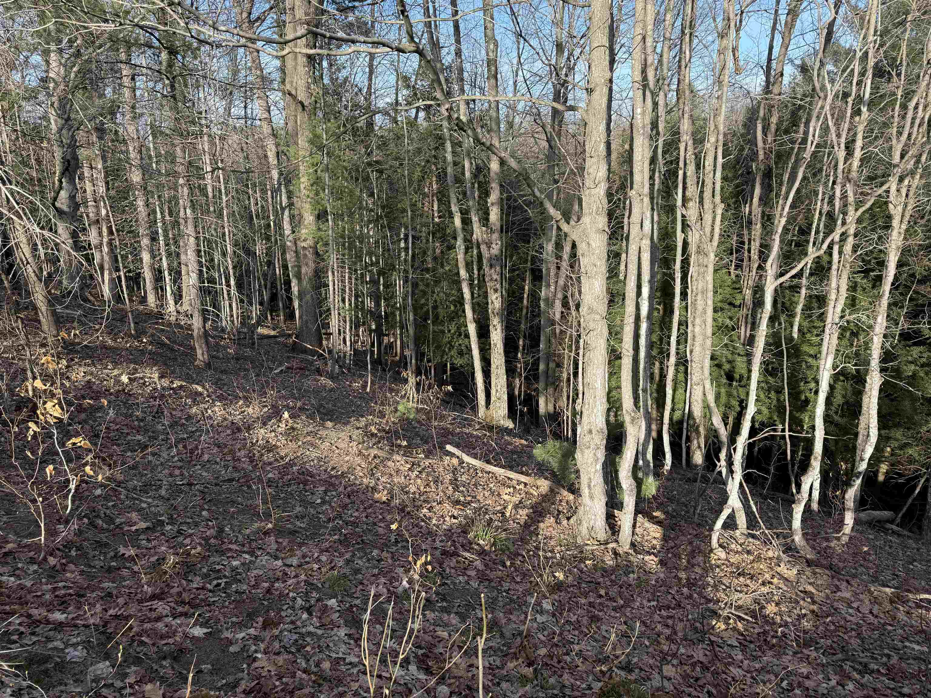 Parcel D North Carmean Road Interlochen, MI 49643 - Photo 8 of 12