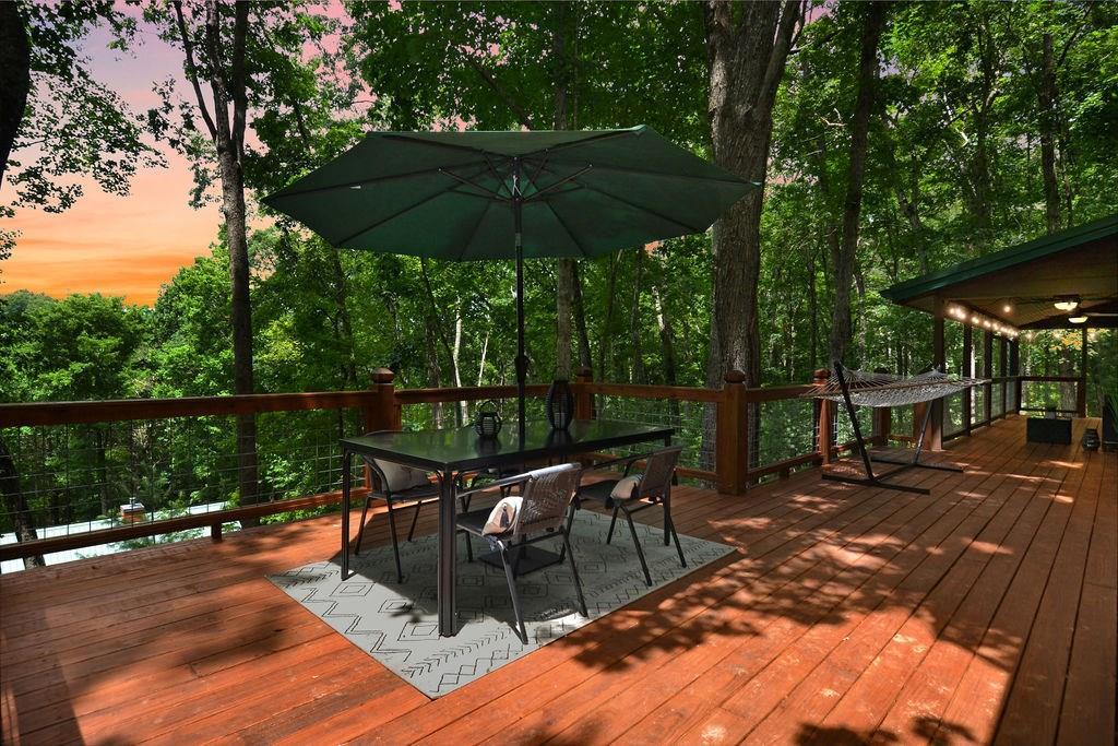 307 Pigeon Creek Road Blue Ridge, GA 30513 - Photo 3 of 56