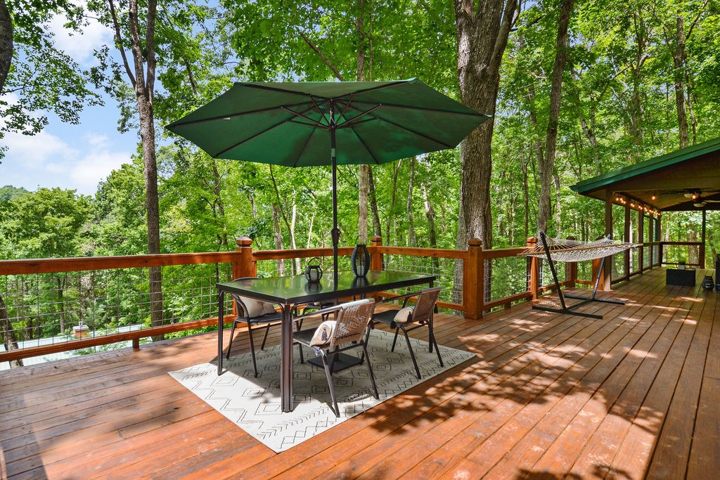 307 Pigeon Creek Road Blue Ridge, GA 30513 - Photo 47 of 56