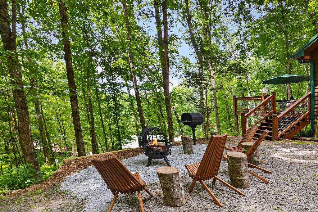 307 Pigeon Creek Road Blue Ridge, GA 30513 - Photo 49 of 56