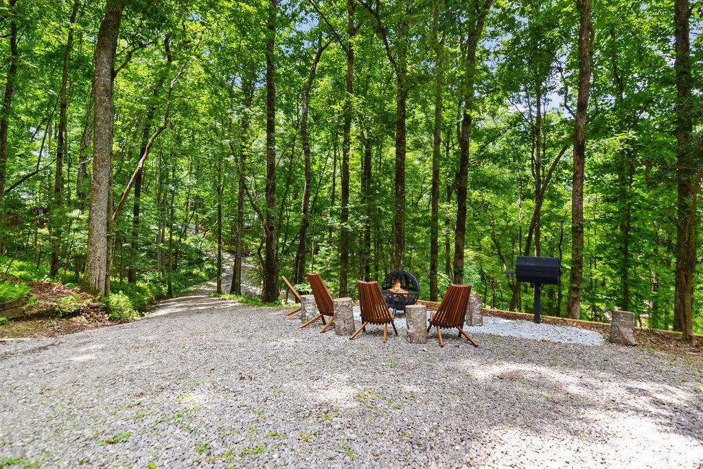 307 Pigeon Creek Road Blue Ridge, GA 30513 - Photo 50 of 56