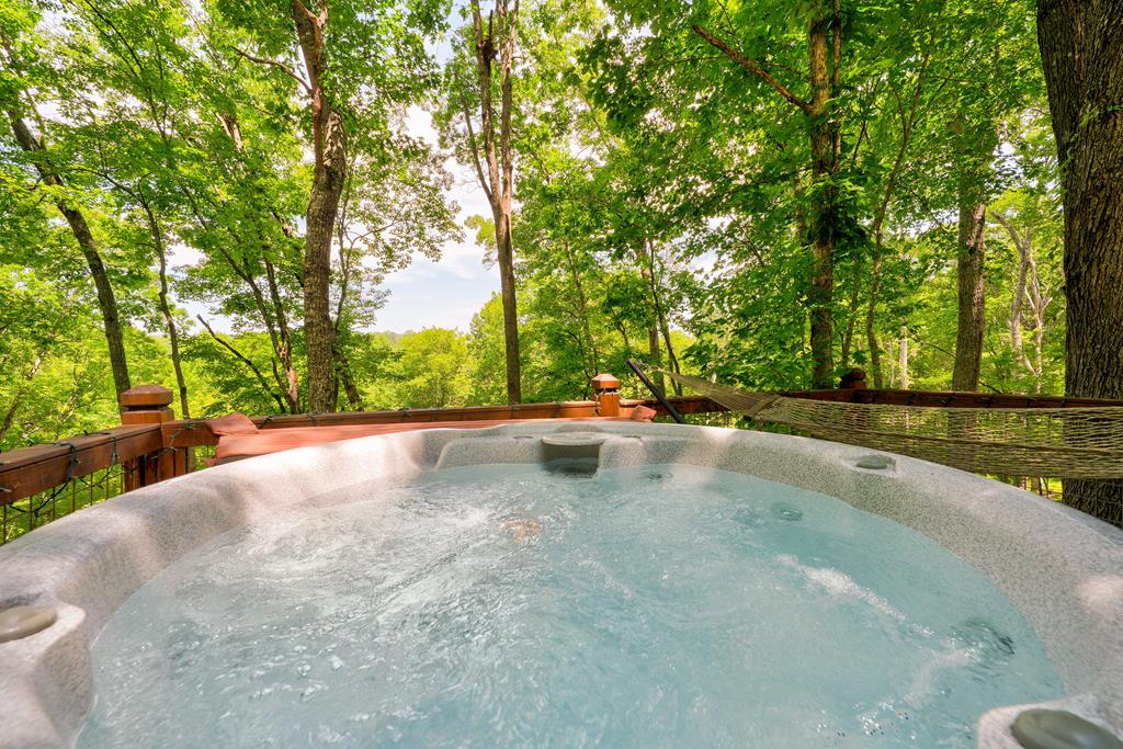 307 Pigeon Creek Road Blue Ridge, GA 30513 - Photo 51 of 56