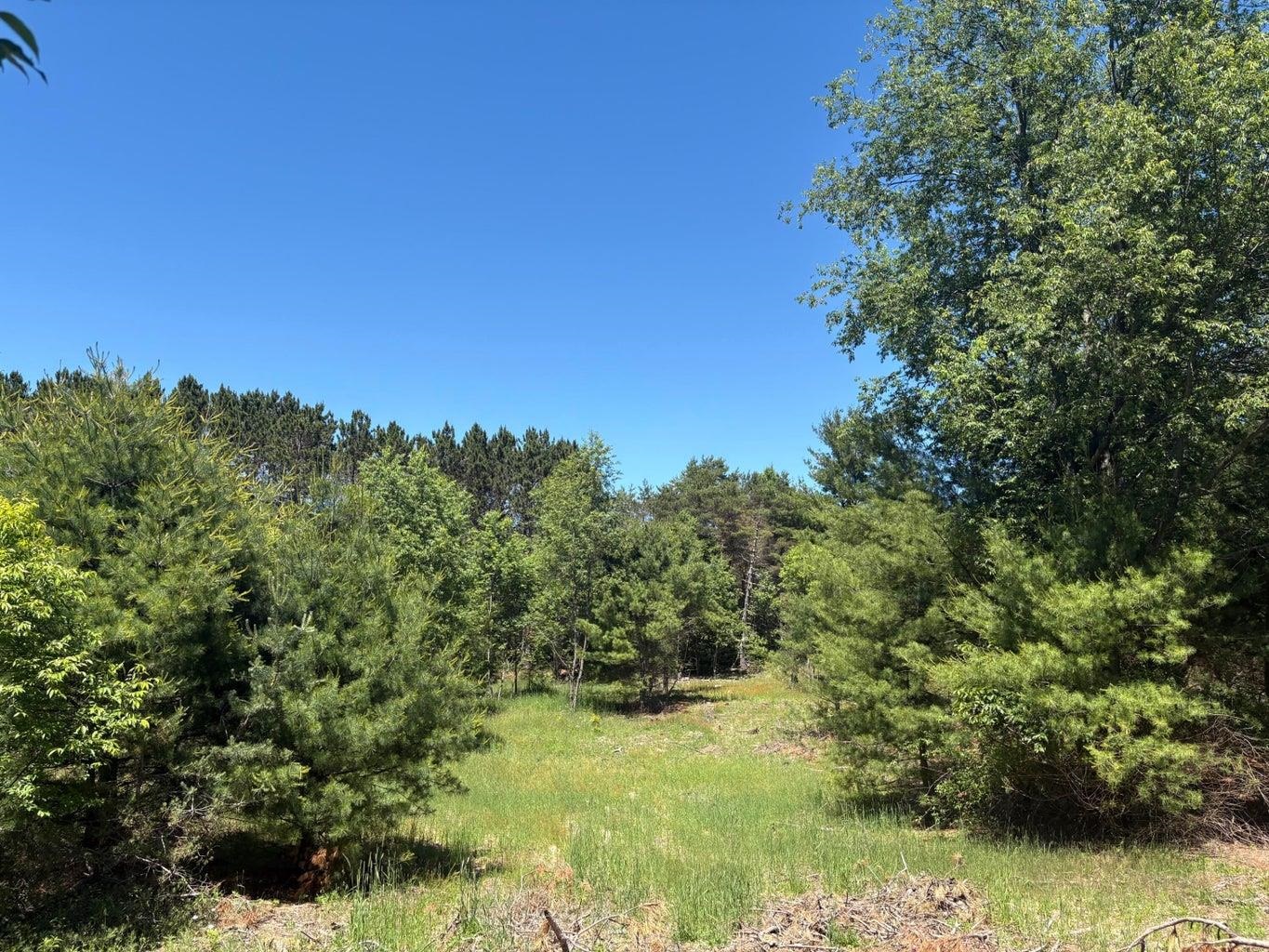 7.91 Butwell Road Bear Lake, MI 49614 - Photo 11 of 22