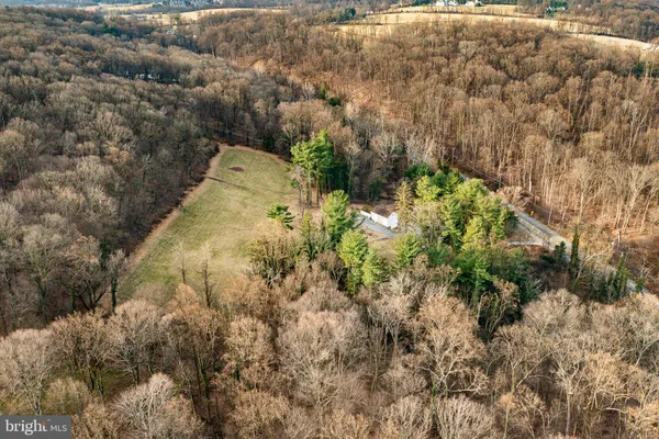 a view of a covered with green space