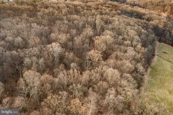 a view of a yard with a trees
