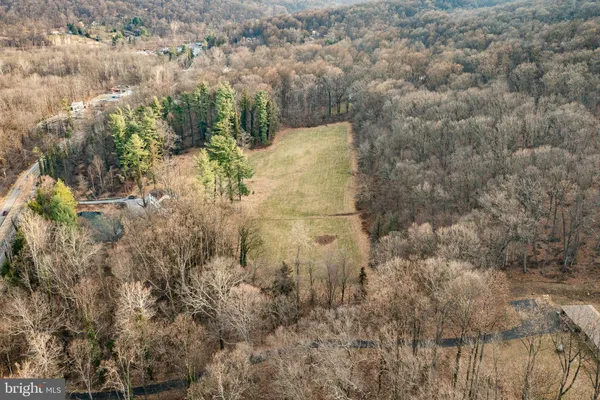 a view of a yard with trees