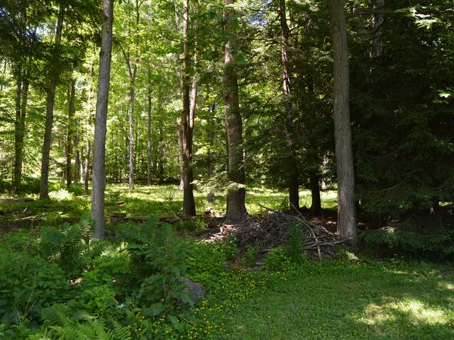 103 Woods Road Warren, PA 16365 - Photo 24 of 28 Gallery Image 24