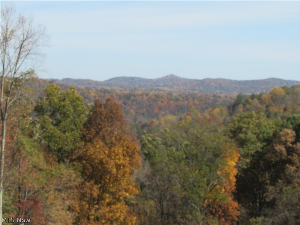 100 Federal Ridge Road St. Marys, WV 26170 - Photo 19 of 20