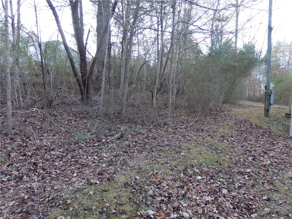 6445 Old Post Trinity, NC 27370 - Photo 11 of 30 back yard