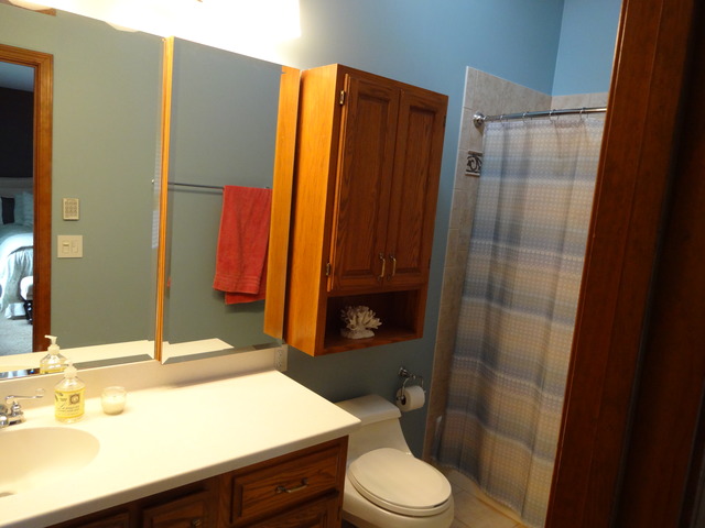 2473 Sun Valley Road Lisle, IL 60532 - Photo 12 of 25