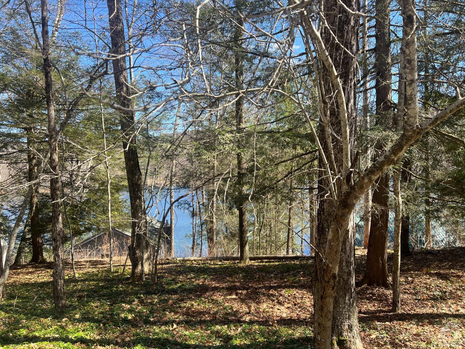 105 McNamee Road Canaan, NY 12029 - Photo 9 of 52 Photo 5