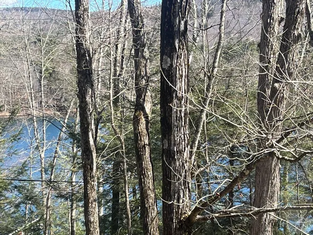 $549,000 | 105 McNamee Road, Canaan, NY 12029