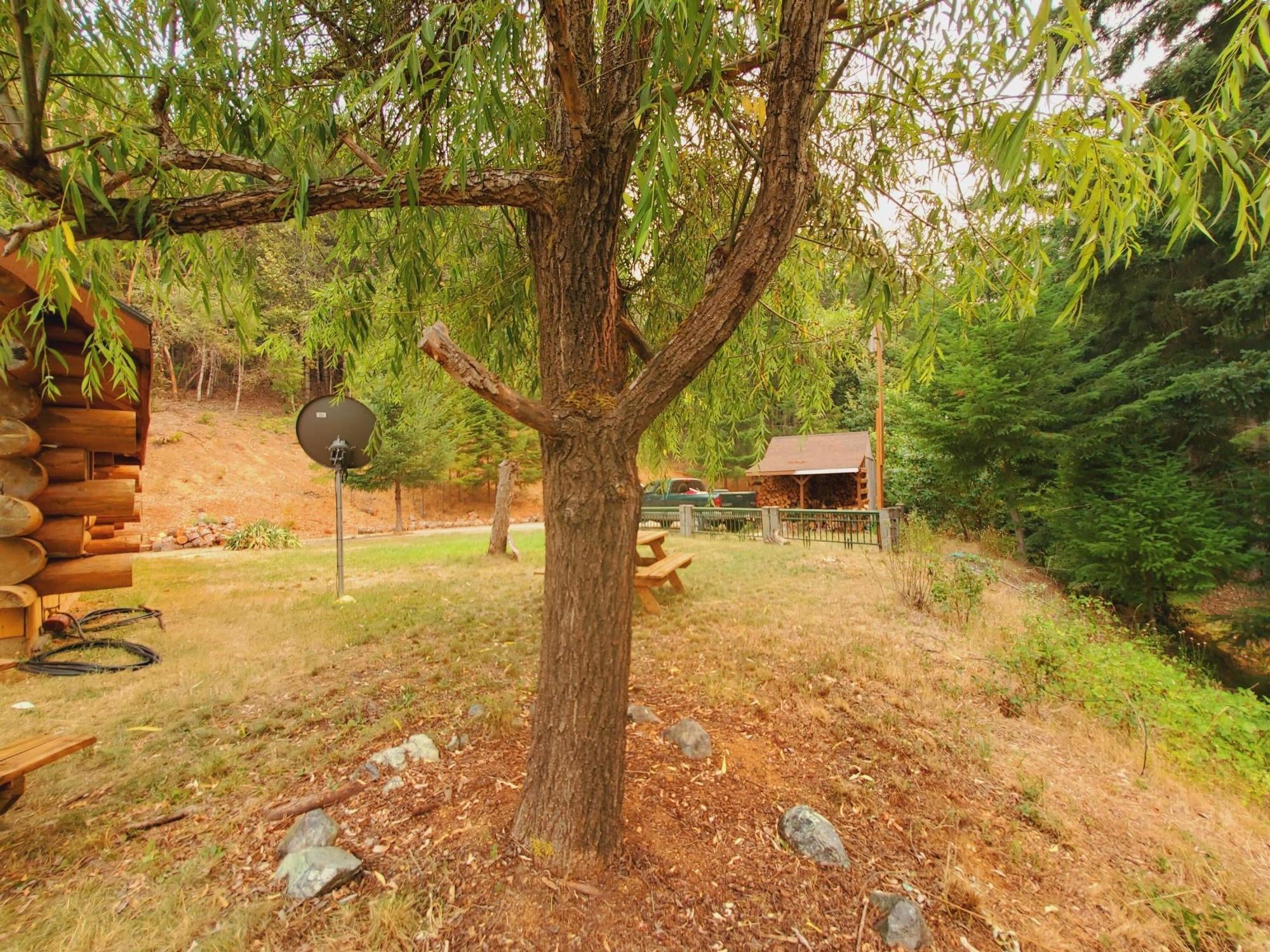 150 Rattlesnake Road Glendale, OR 97442 - Photo 49 of 67 View of side yard from primary cabin