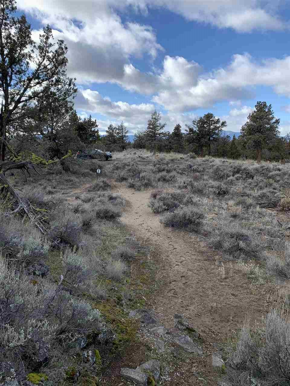 Lot 10-11 Nugget Road Montague, CA 96064 - Photo 15 of 21 Gallery Image 15