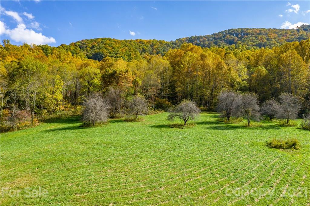 Tbd Anderson Cove Road Marshall, NC 28753 - Photo 2 of 34 Gallery Image 2
