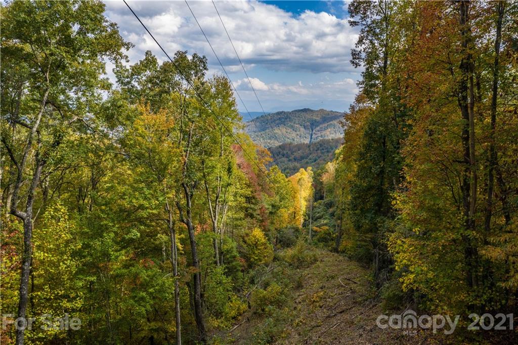 Tbd Anderson Cove Road Marshall, NC 28753 - Photo 12 of 34 Gallery Image 12