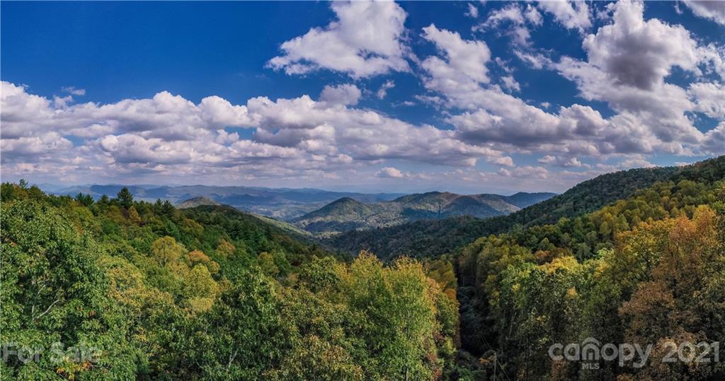 Tbd Anderson Cove Road Marshall, NC 28753 - Photo 14 of 34 Gallery Image 14