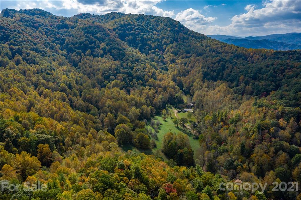 Tbd Anderson Cove Road Marshall, NC 28753 - Photo 17 of 34 Gallery Image 17